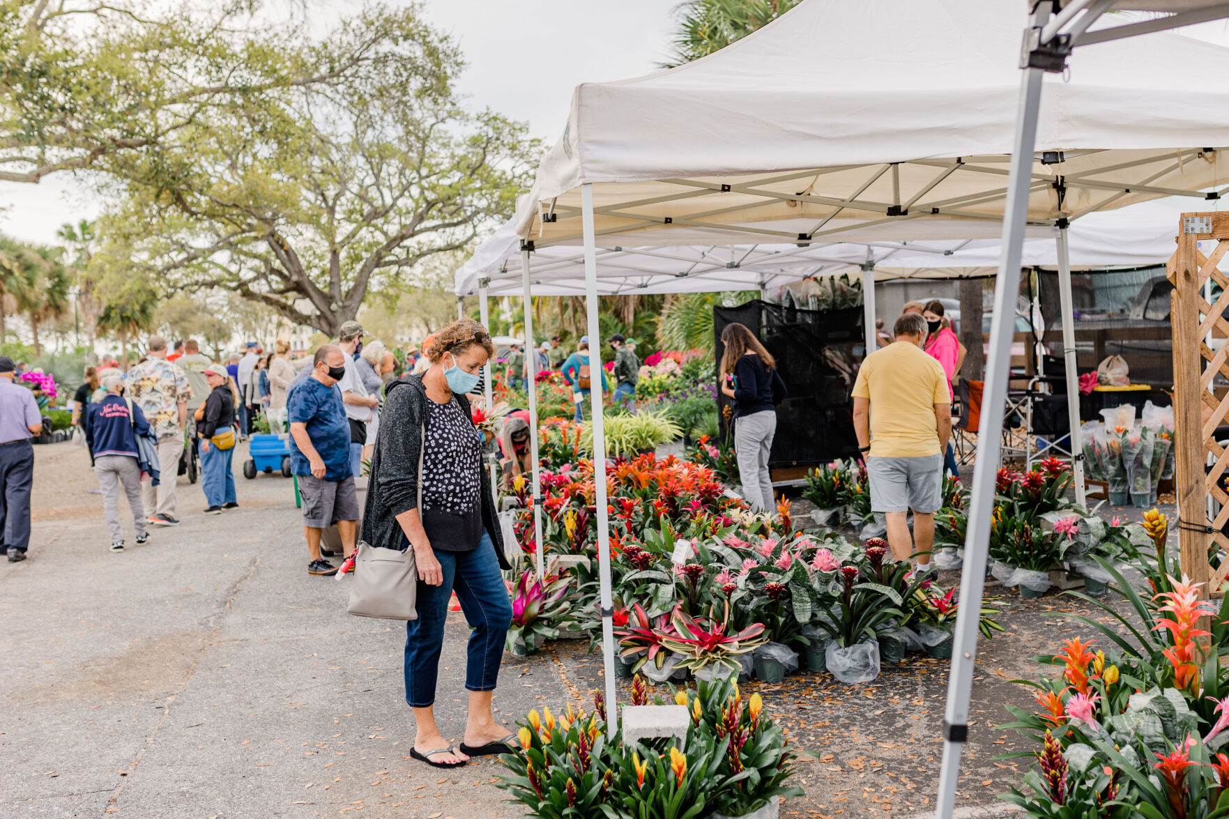 Downtown Melbourne Botanical Fest set for Saturday